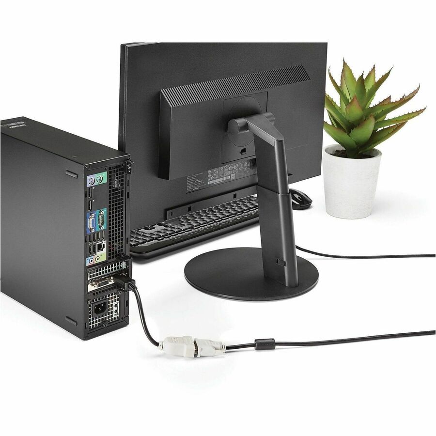 StarTech DisplayPort to DVI Adapter 1080p