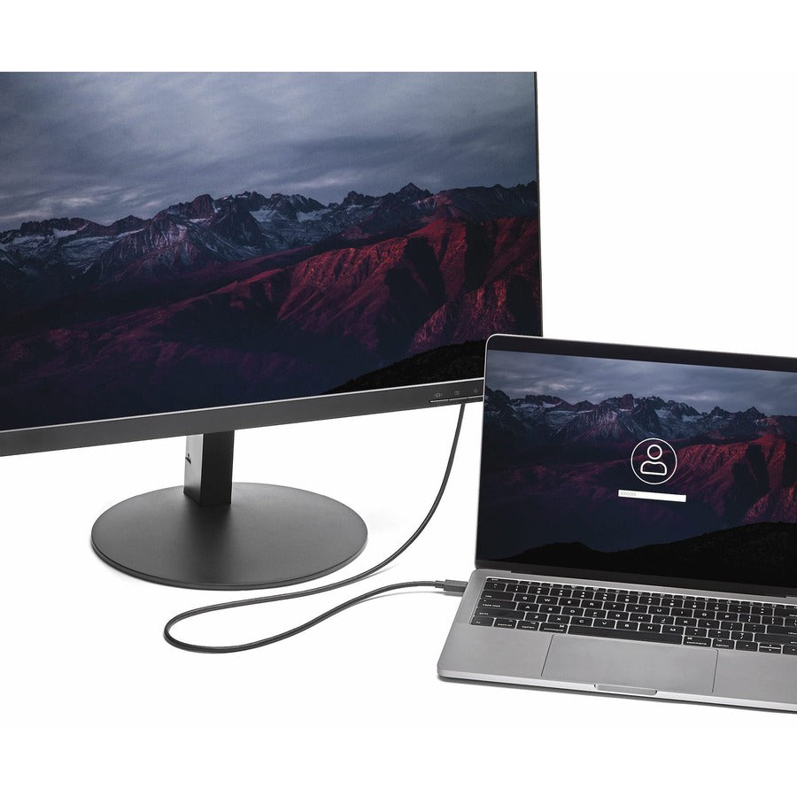 6ft USB-C to DisplayPort 1.2 Cable - 4K 60Hz