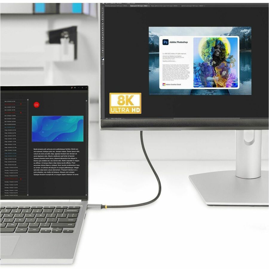 StarTech.com 6ft (2m) USB-C to HDMI Adapter Cable, 8K 60Hz, 4K 144Hz, HDR10, USB Type-C to HDMI 2.1 Converter, USB-C/USB4/TB3/4 Compatible