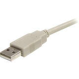 Câble d'extension USB StarTech.com - USB 4 broches Type A (M) - USB 4 broches Type A (F) - 1,8 m