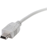 Câble mini USB StarTech.com