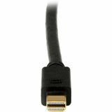 Câble Mini DisplayPort vers DVI StarTech.com de 1,8 m, adaptateur/convertisseur Mini DP vers DVI-D, vidéo 1080p, moniteur/écran mDP 1.2 vers DVI