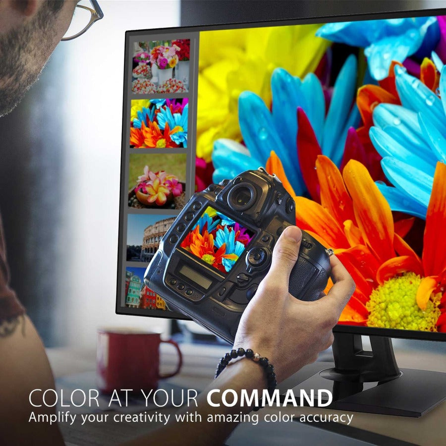 Viewsonic 32" Display, IPS Panel, 3840 x 2160 Resolution