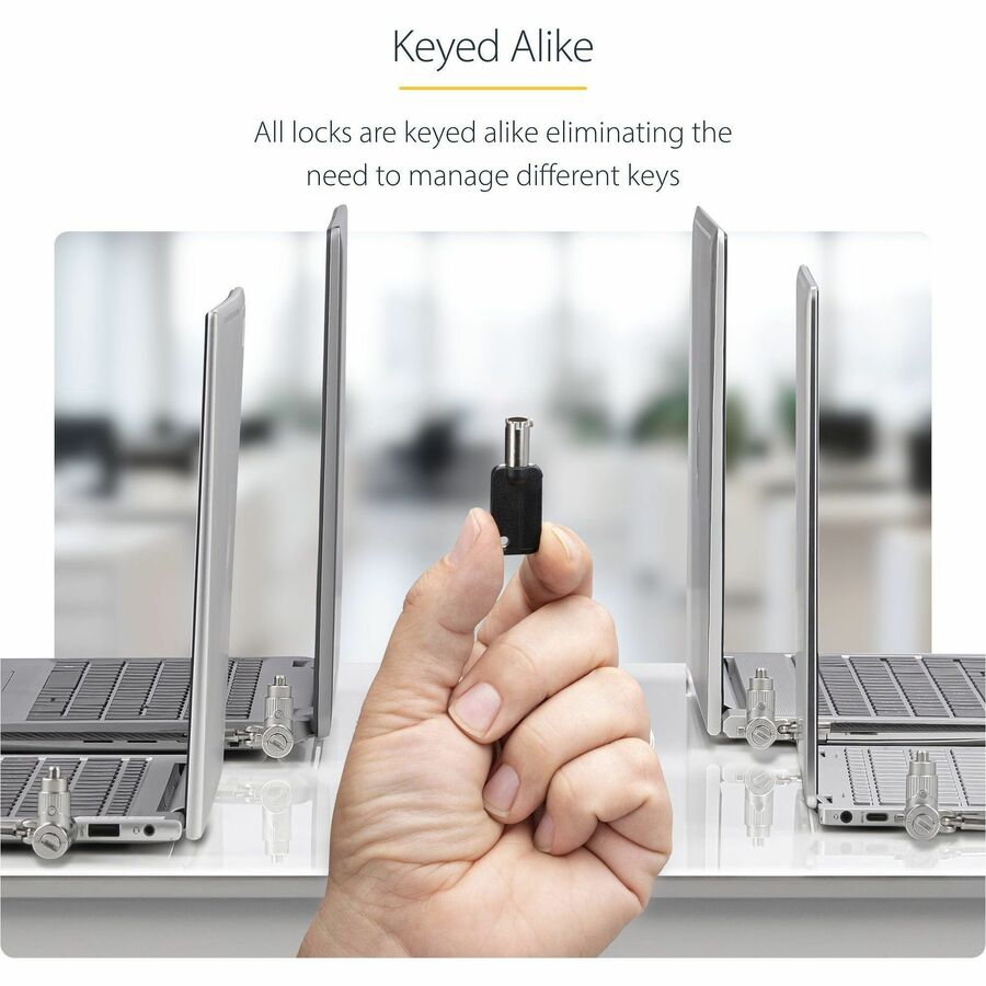StarTech.com 25-Pack Universal Laptop Lock 6.6ft, Keyed Alike Locking Cable, Security Cable, Compatible w/Noble Wedge&reg;/Nano/K-Slot